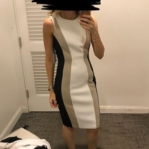 NWT Calvin Klein colourblock scuba shift dress